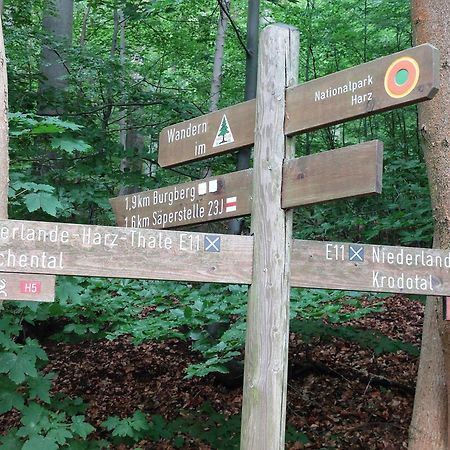Burgberg-Blick Lejlighed Bad Harzburg Eksteriør billede