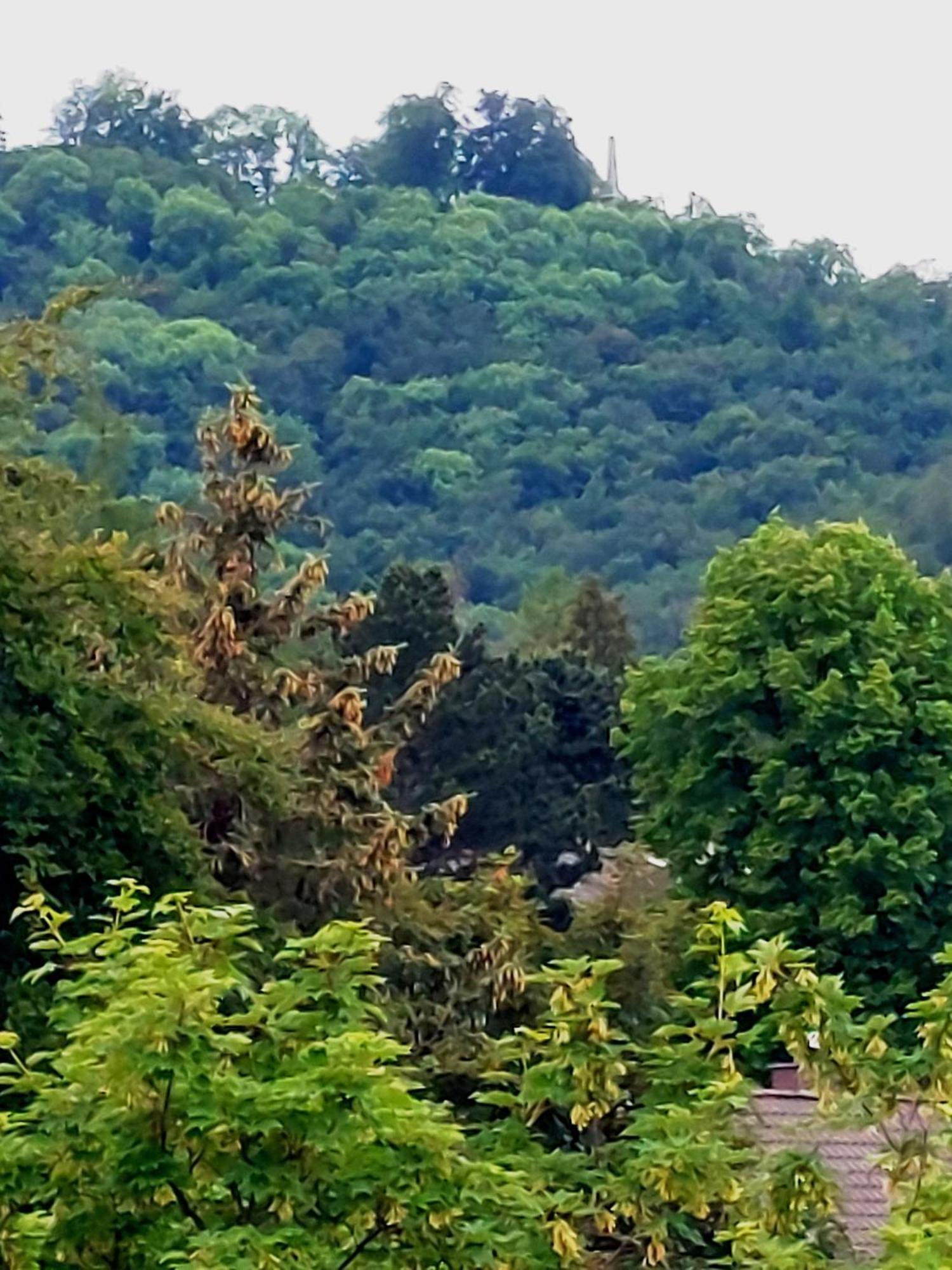 Burgberg-Blick Lejlighed Bad Harzburg Eksteriør billede