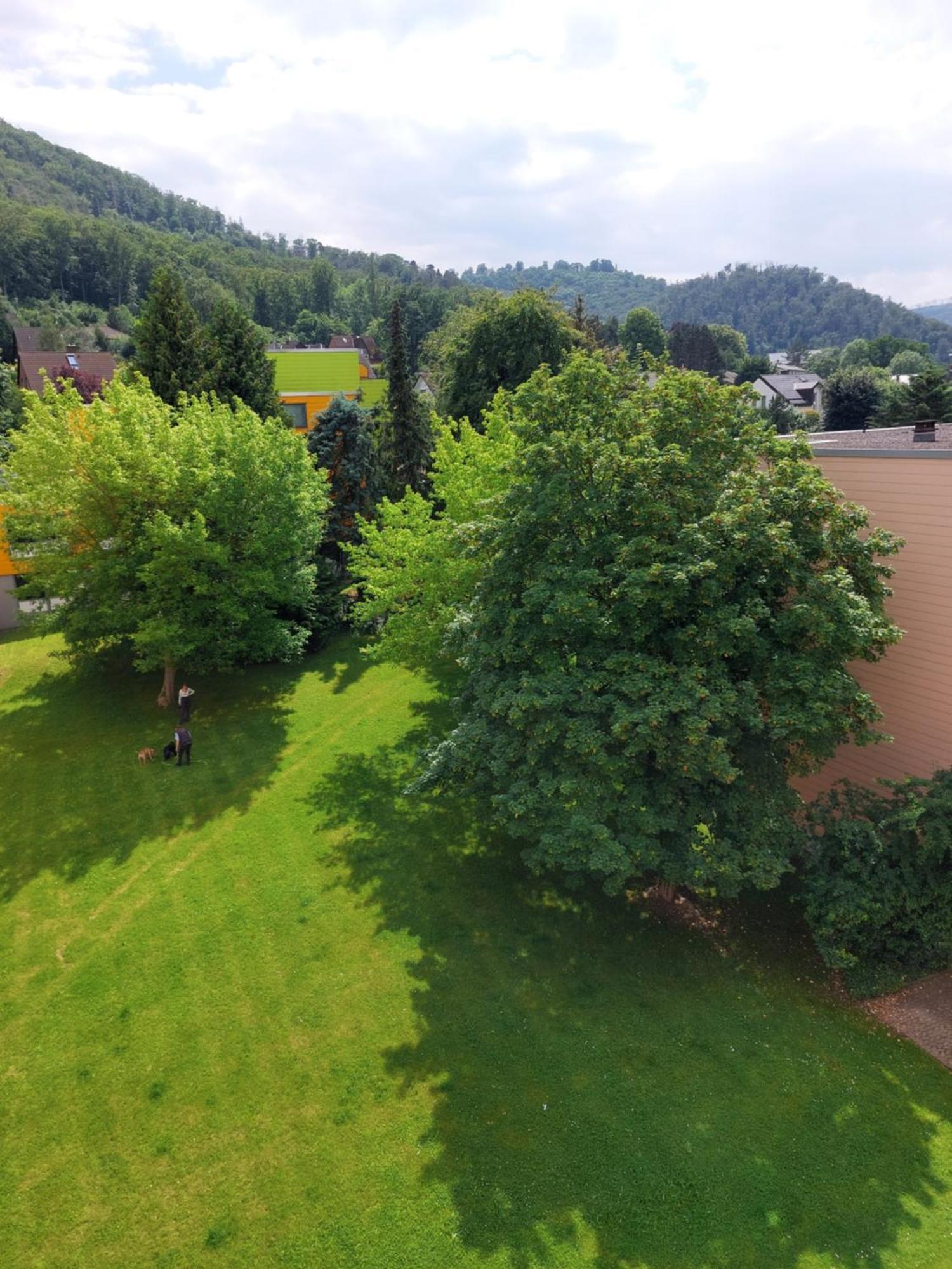 Burgberg-Blick Lejlighed Bad Harzburg Eksteriør billede